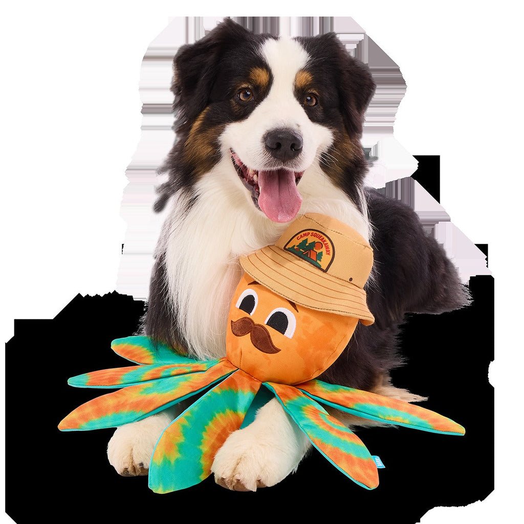 Ollie the Octopus Club, Plush Tug Monthly Dog Toys