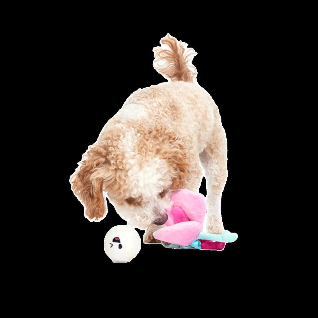Clamantha Plush Multi-Part + Fetch Dog Toy