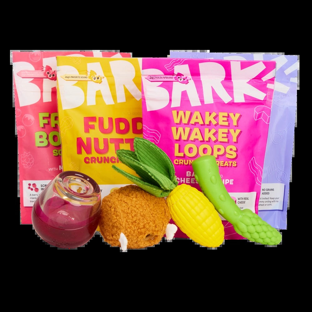 BARK 12 Month Subscription - FREE Extra Toys with Cardboard Box