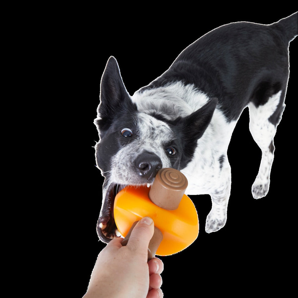 Blanket + Chompfire Bundle Super Chewer Durable Gnaw + Enrichment Dog Toy