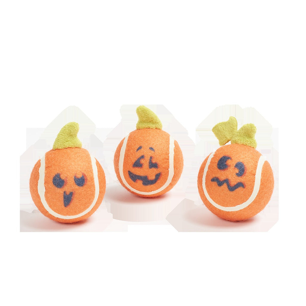 Chuckin' Punkins Plush Multi-Part Fetch Dog Toy