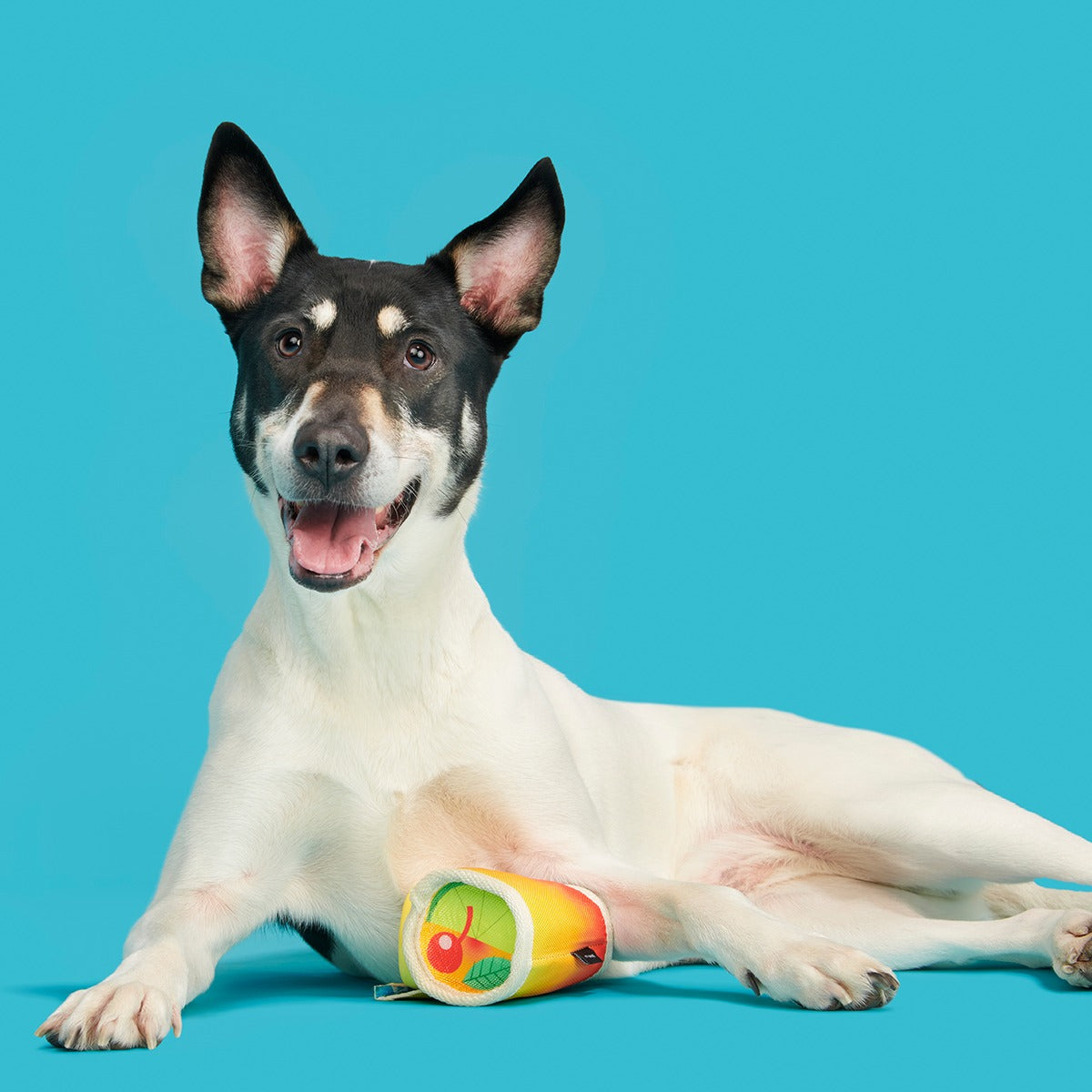 Mai Toy Super Chewer Durable 2-in-1 + Enrichment Dog Toy