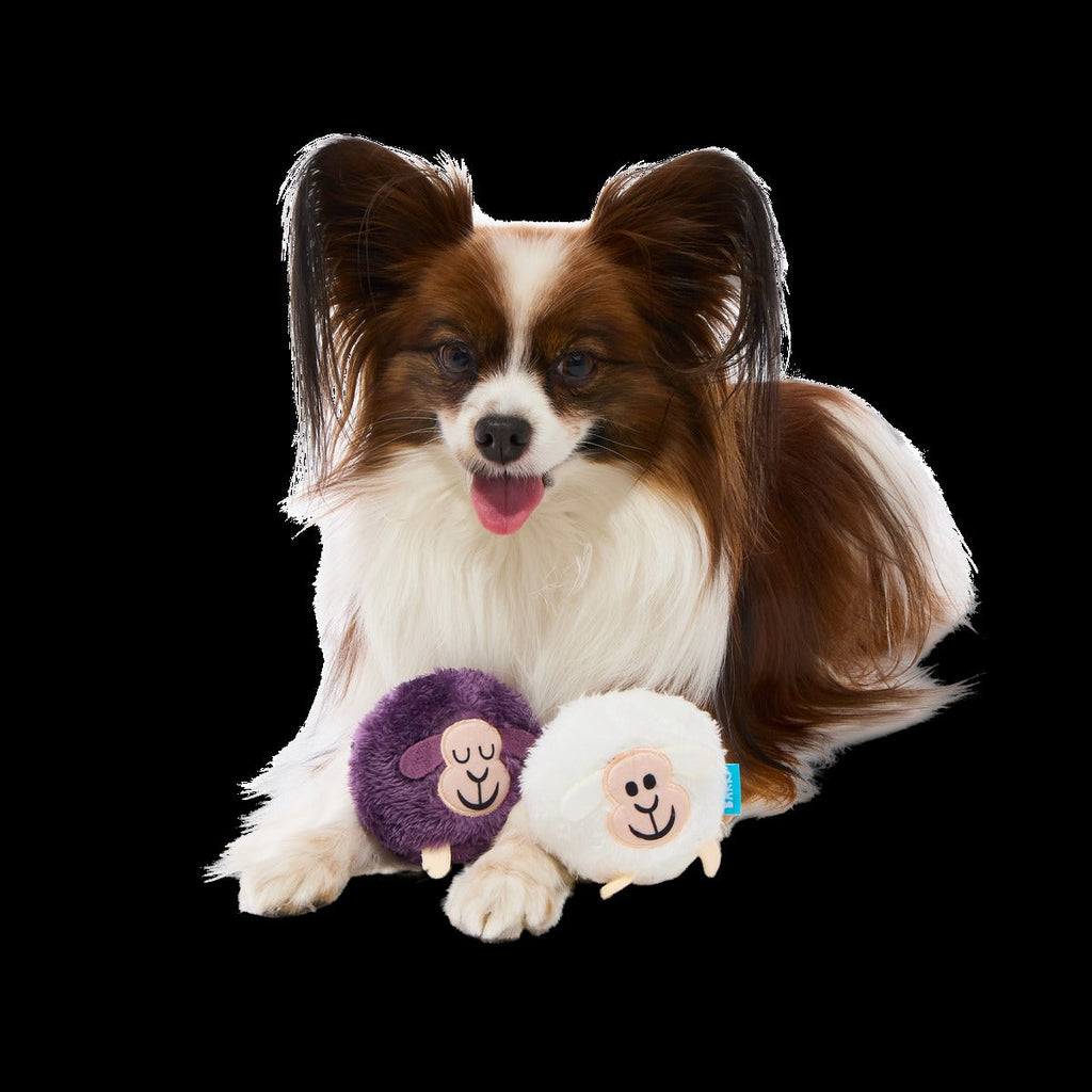 Good Sheep, Baa Sheep Plush Multi-Part Fetch Dog Toy