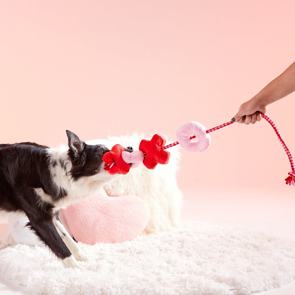XOXO Rope Tug Plush Tug Dog Toy