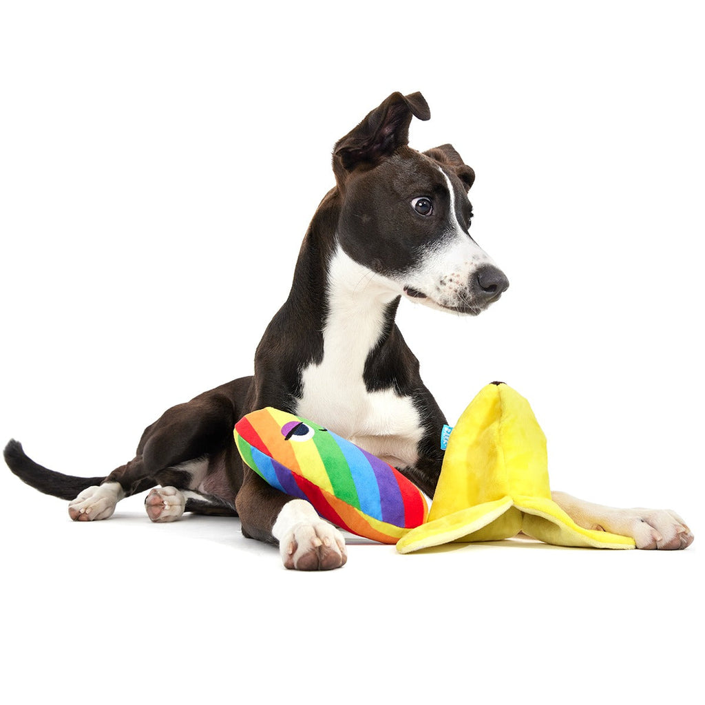 Top Banana Plush Multi-Part Dog Toy