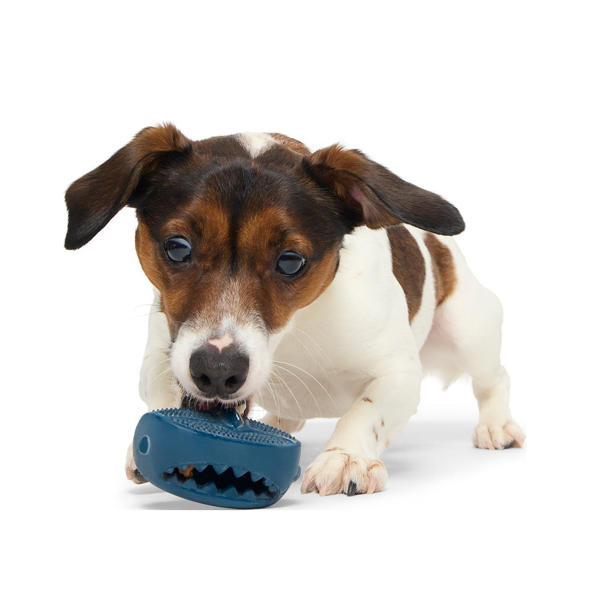 Hammer Fed Shark Super Chewer Durable Enrichment Dog Toy