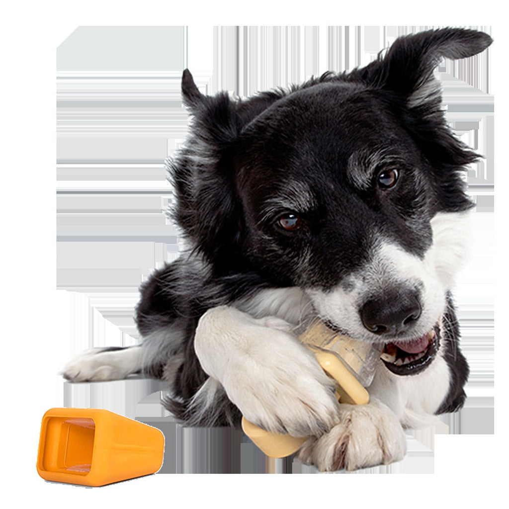 Make n' Munch Pupsicle Kit Super Chewer Durable Multi-Part Dog Toy