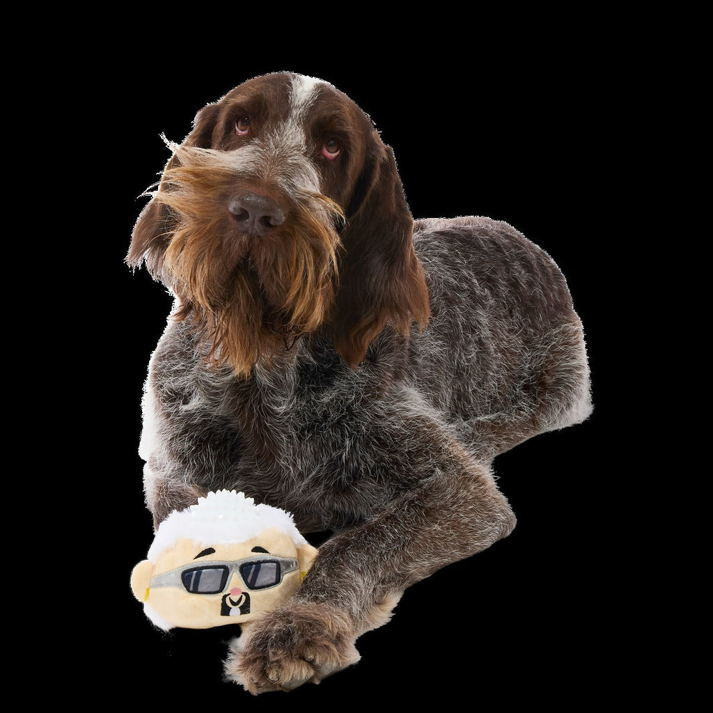 Mayor of Squeakertown Plush Multi-Part + Fetch Dog Toy