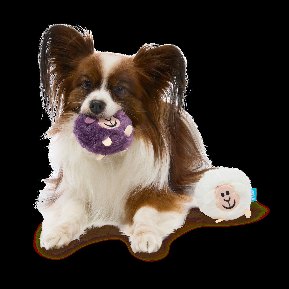 Good Sheep, Baa Sheep Plush Multi-Part Fetch Dog Toy