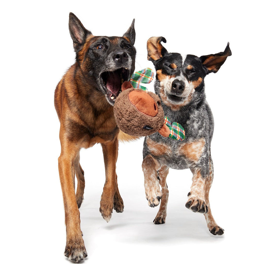 Plaidamoose Super Chewer Durable 2-in-1 + Fetch Dog Toy