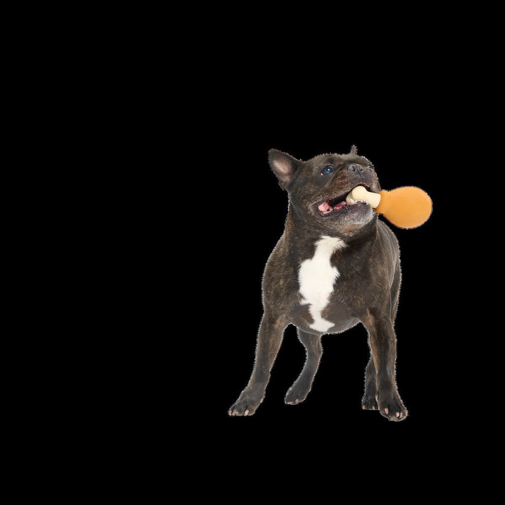Turkey Day Drumstick Durable Super Chewer Gnaw Dog Toy
