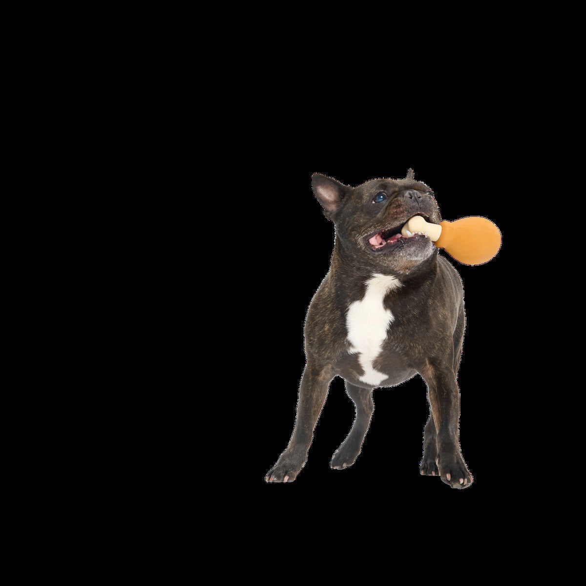 Turkey Day Drumstick Durable Super Chewer Gnaw Dog Toy
