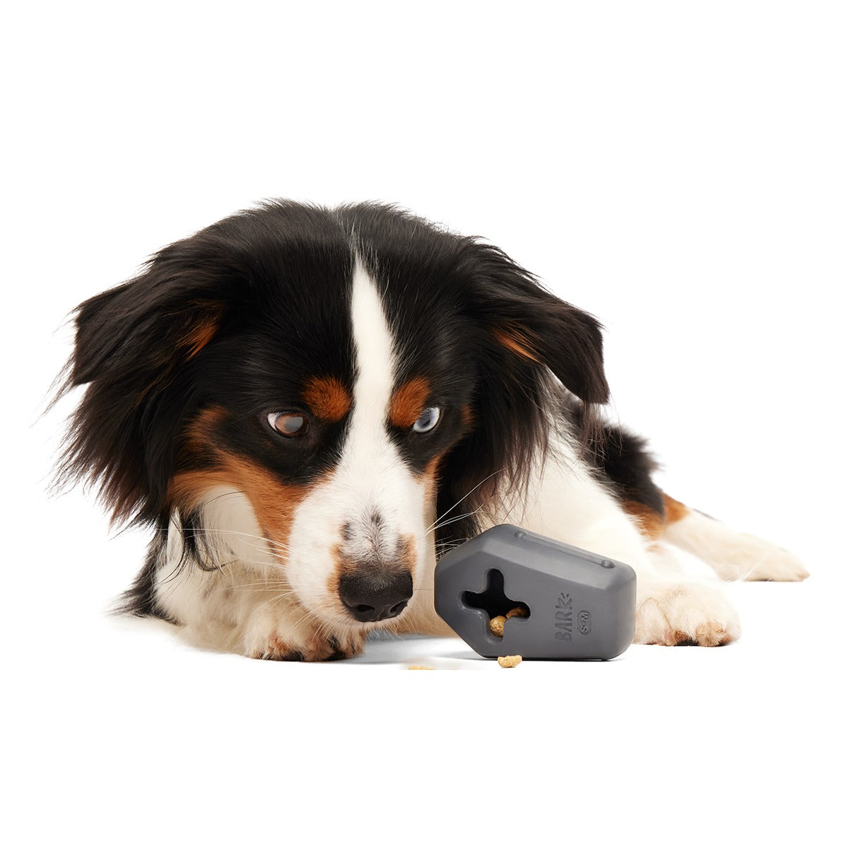 Snack Casket Super Chewer Durable Enrichment Dog Toy