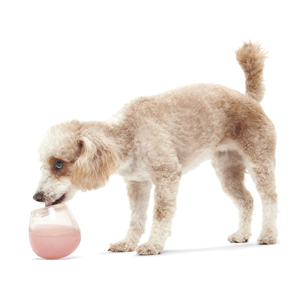 Tipsy Rose Super Chewer Durable Enrichment Dog Toy