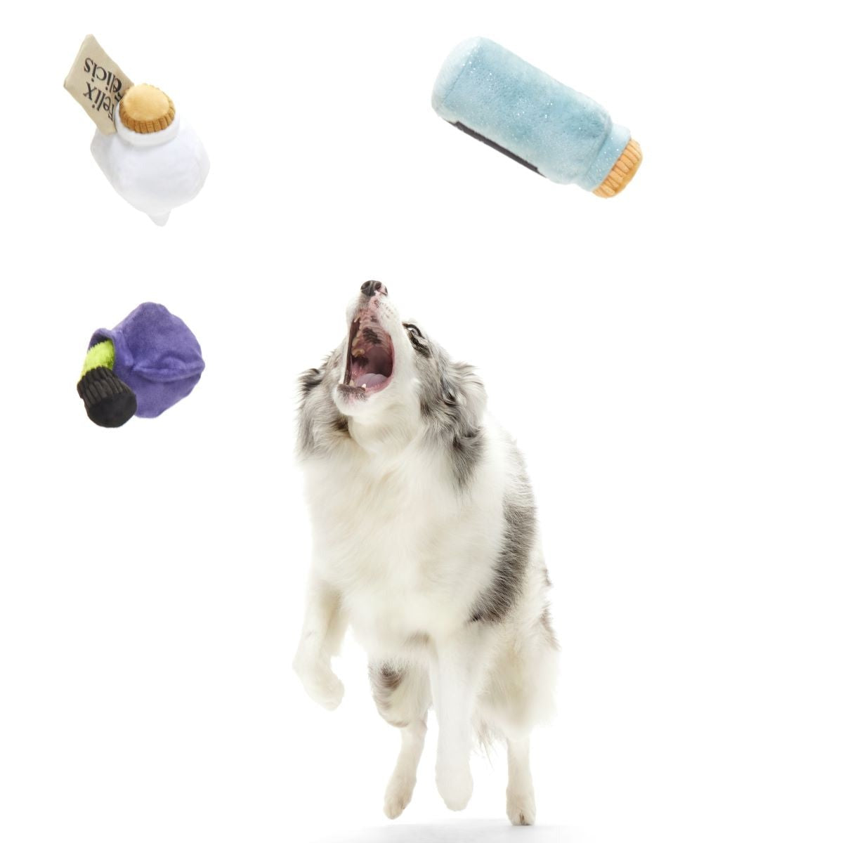 Potions Class PackTM Plush Multi-Part Dog Toy