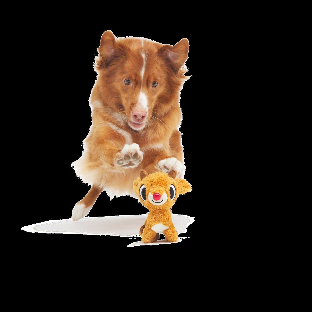 Rudolph the Red-Nosed Reindeer® Plush Tug Dog Toy