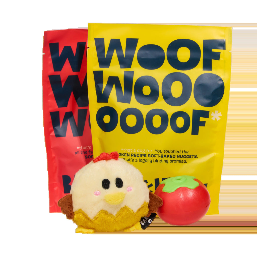 BARK 12 Month Subscription
