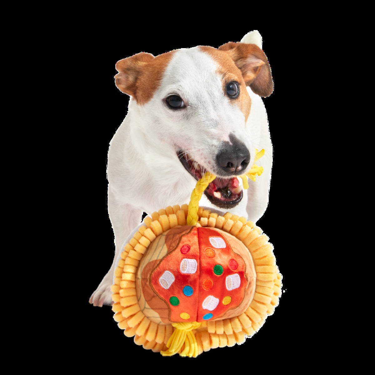Candy Squeakghetti Plush Tug Dog Toy