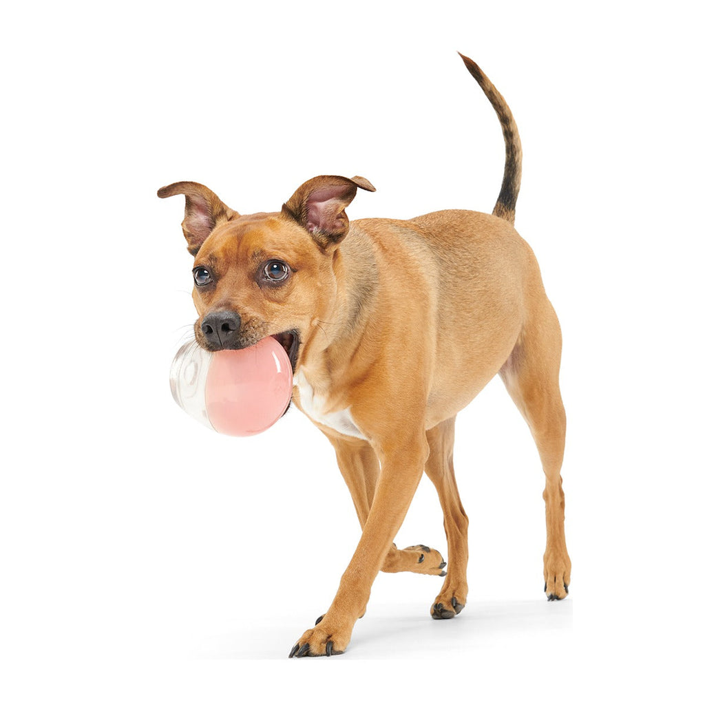 Tipsy Rose Super Chewer Durable Enrichment Dog Toy