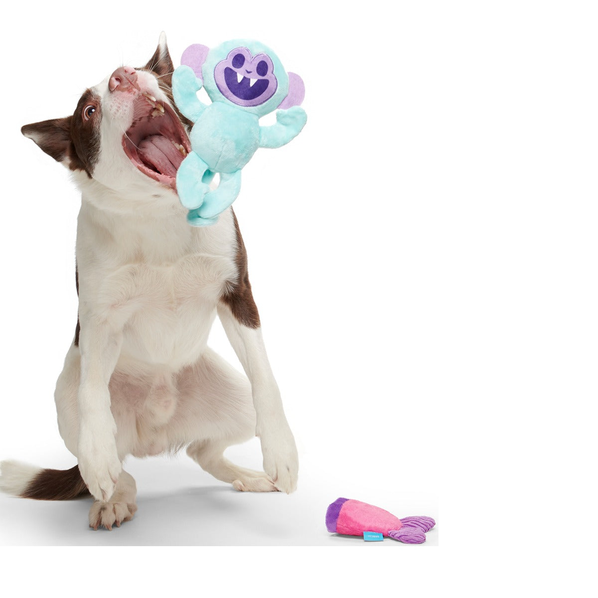 Gigi the Fiji Mermaid Multi-Part + Enrichment Dog Toy