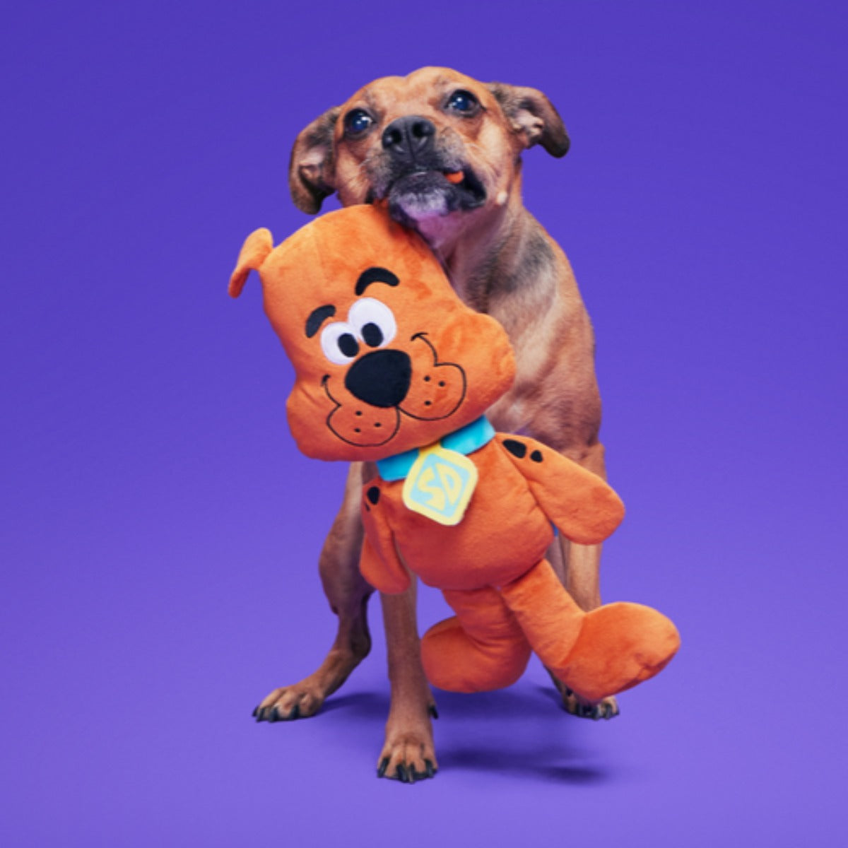 Scooby-DooTM Bundle