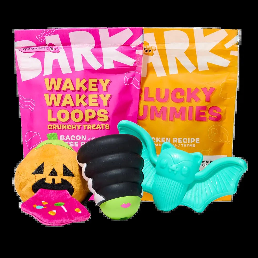 BARK Monthly Subscription + Cardboard Box