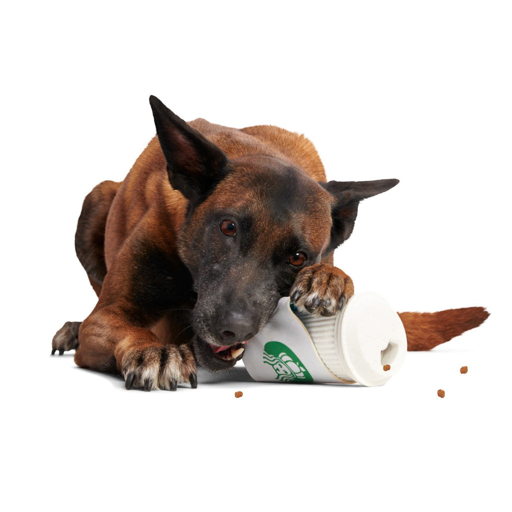 Pupkin Spice Yappuccino Durable Super Chewer 2-in-1 Rip and Reveal + Enrichment Dog Toy
