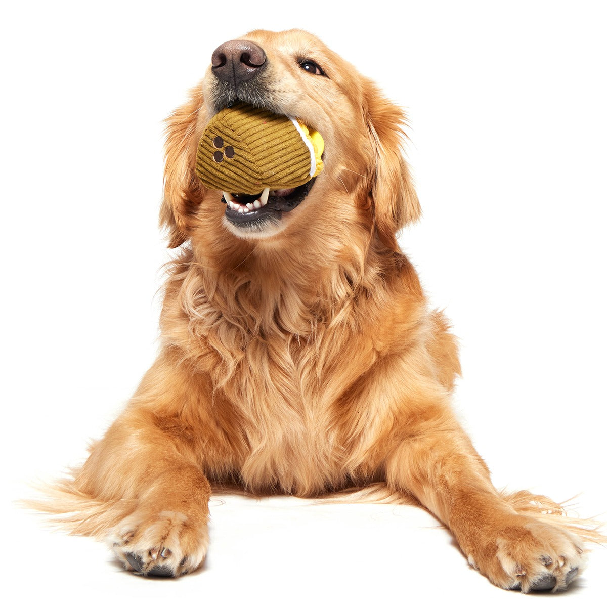 Coco-Mutt Cocktail Super Chewer Durable 2-in-1 Fetch + Enrichment Dog Toy