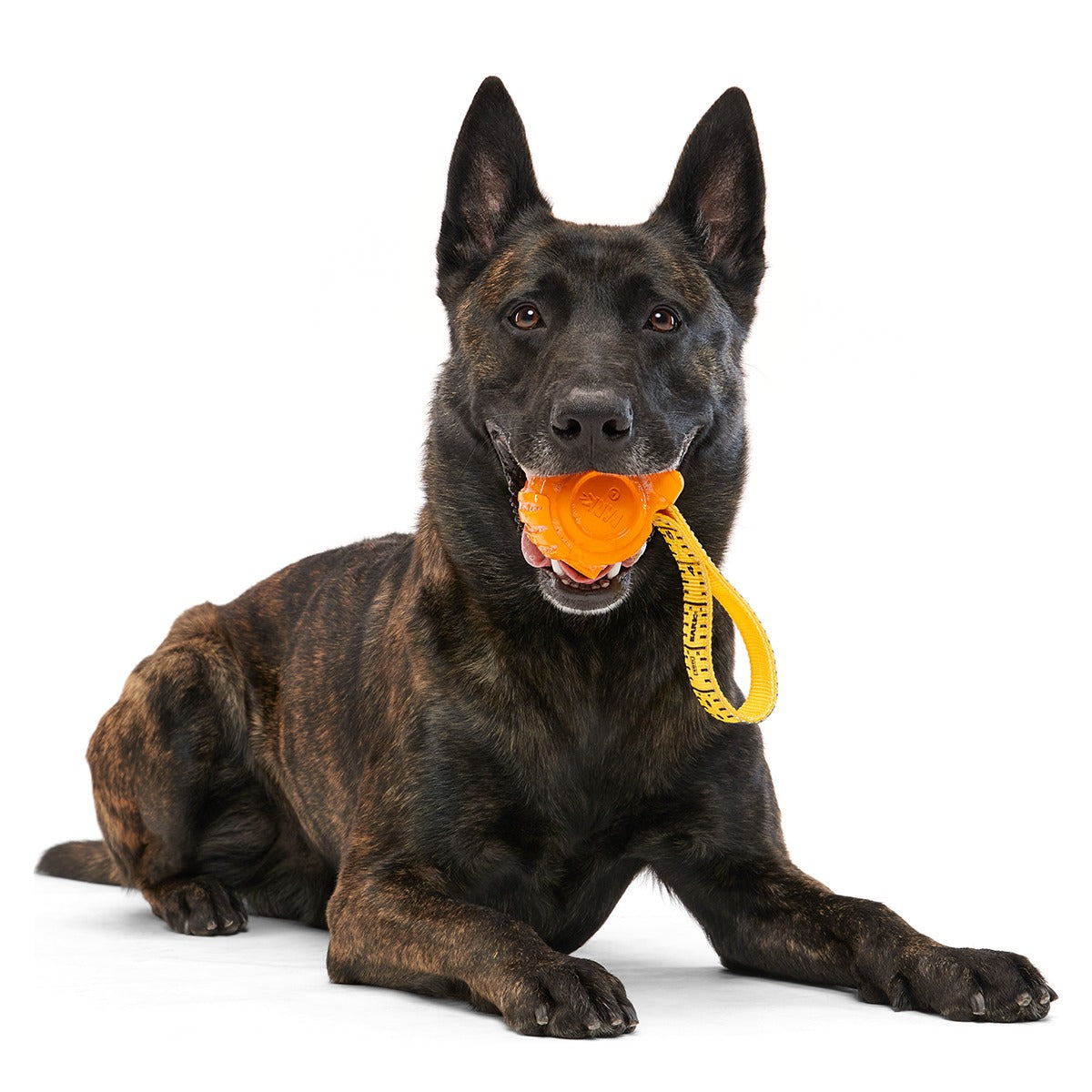 Tug Measure Super Chewer Durable Dog Toy