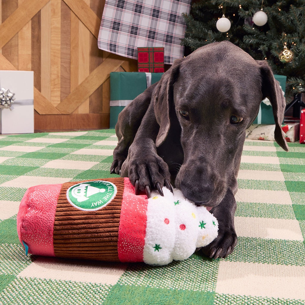 Jumbo Jingle Latte Plush Extra-Large Dog Toy