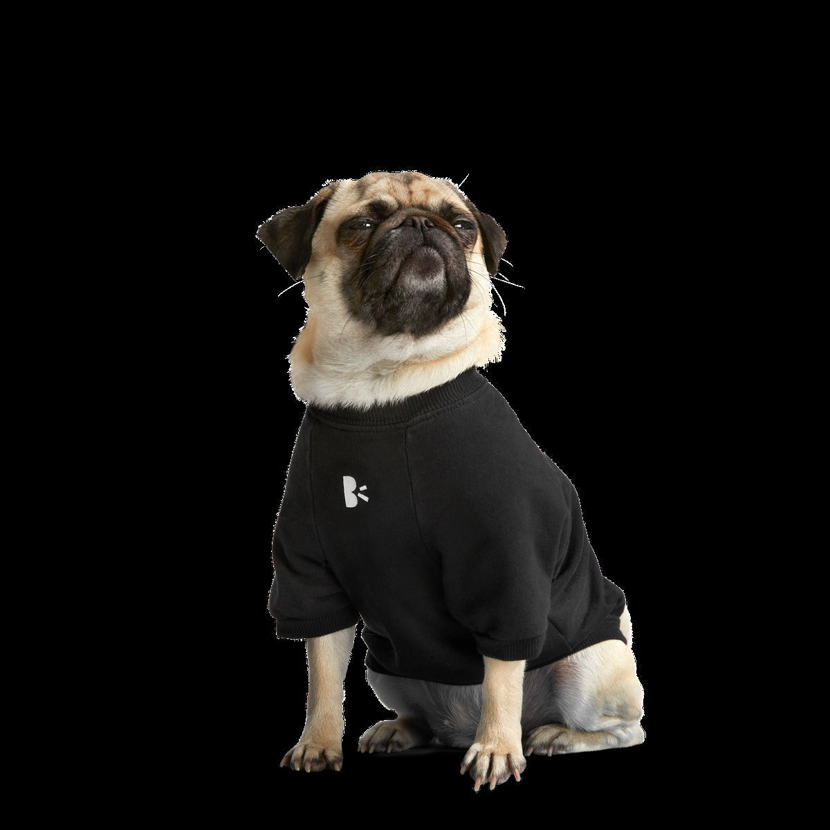 Anti-Squirrel Squirrel Club Dog Sweatshirt