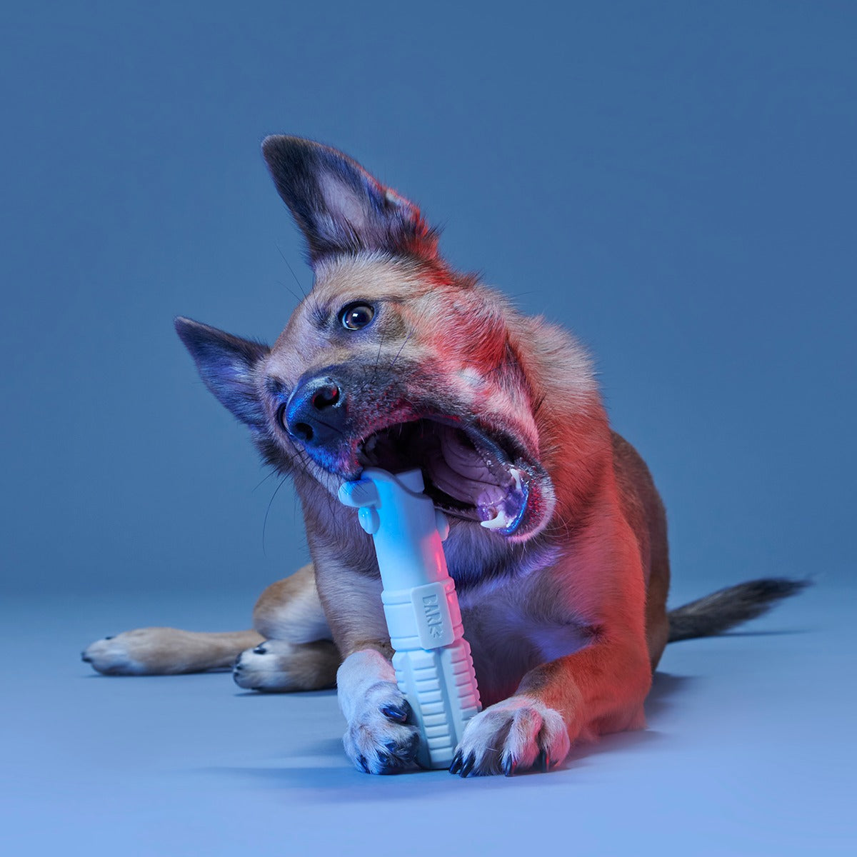 Light Side Star WarsTM Super Chewer Durable Bundle Fetch + Gnaw Dog Toy