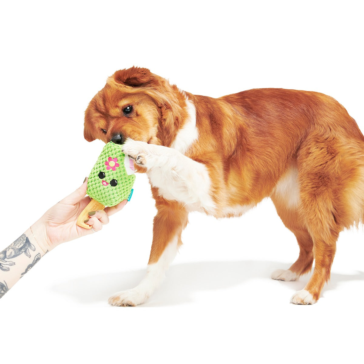 Consuela Pop Plush 2-in-1 + Tug Dog Toy