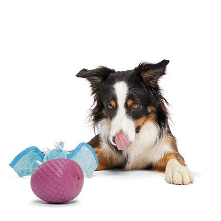 Brrrtha The Dragon Super Chewer Durable 2-in-1 Tug + Fetch Dog Toy