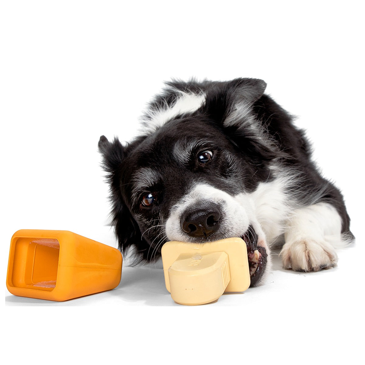 Make n' Munch Pupsicle Kit Super Chewer Durable Multi-Part Dog Toy