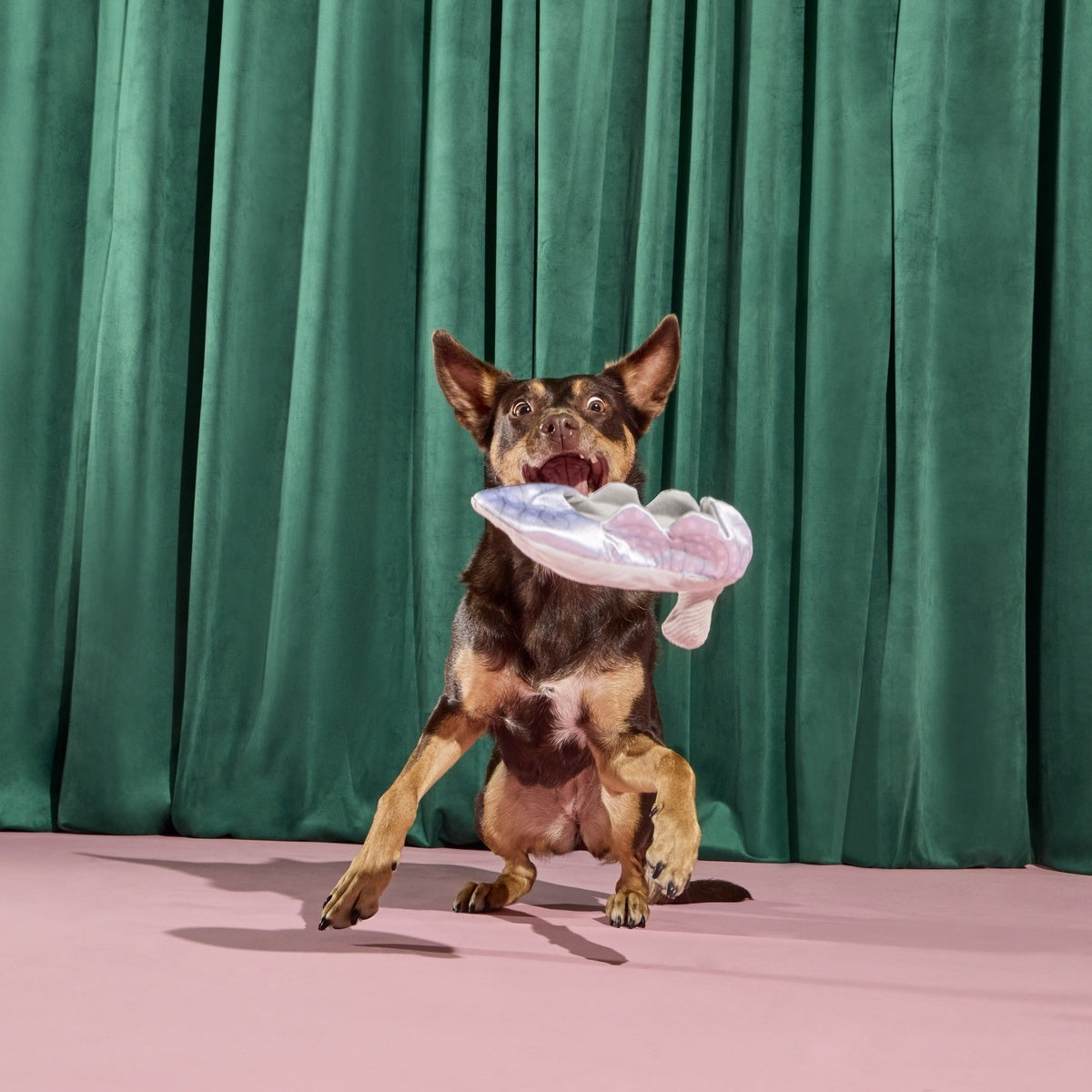 Nessa's Squeakin' Slipper Plush Enrichment Dog Toy