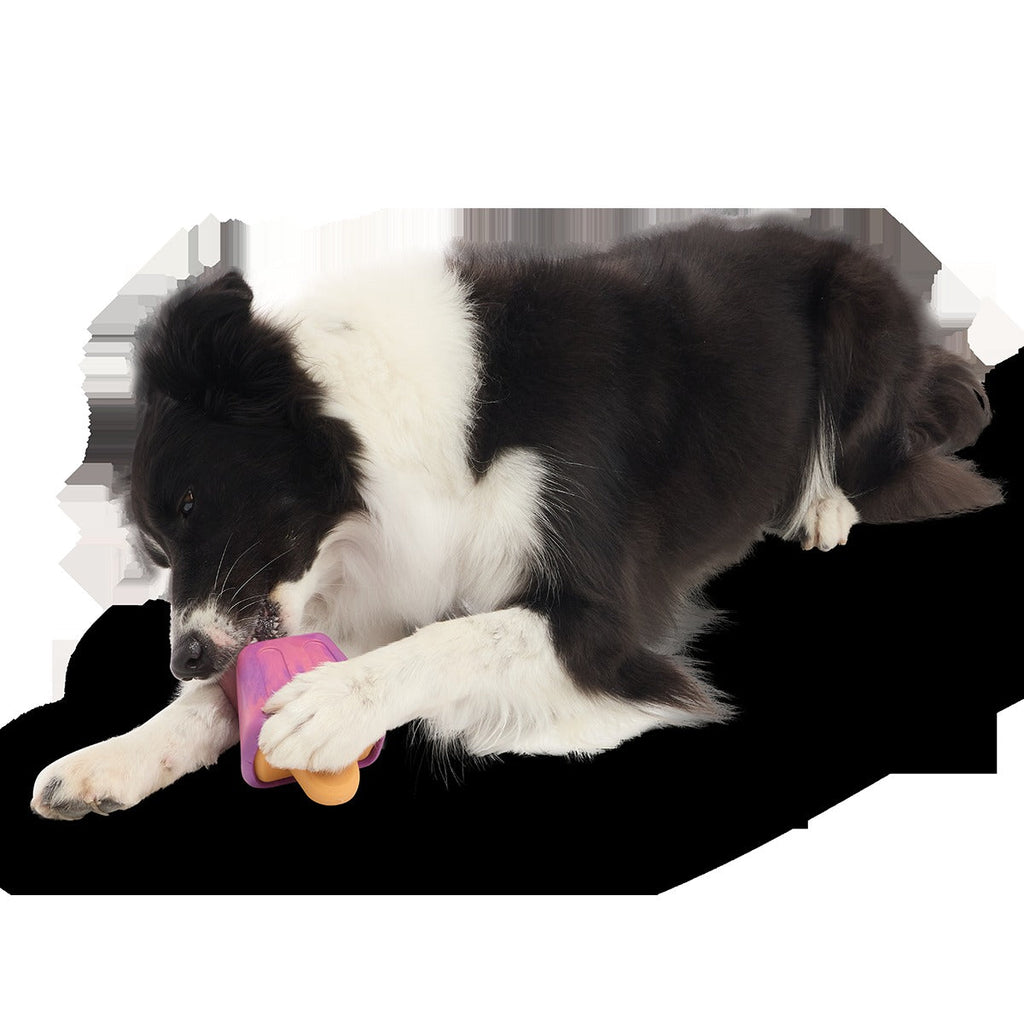 Chill N' Chomp Pupsicle Kit Super Chewer Durable Enrichment Dog Toy
