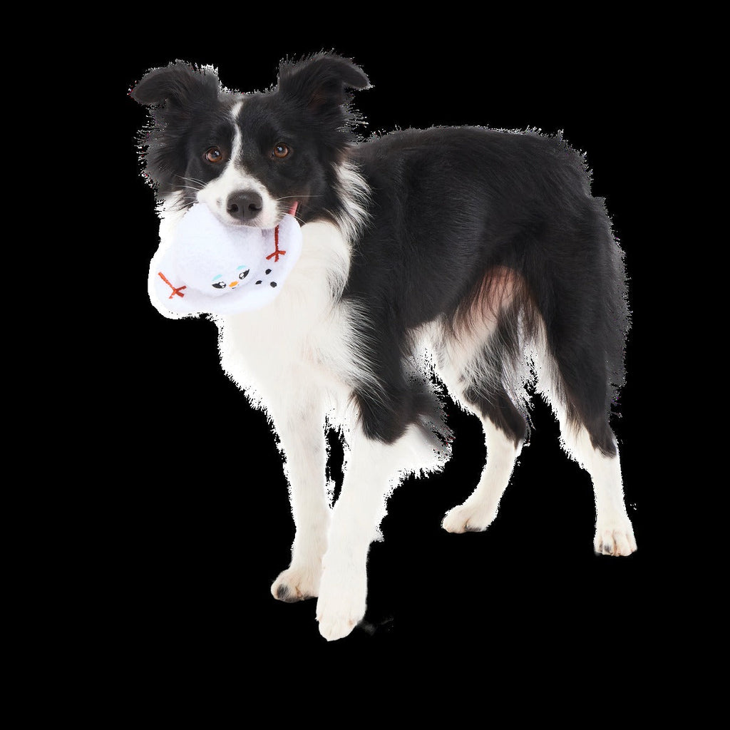 Slushy The Snowman Durable Super Chewer 2-in-1 Rip and Reveal Dog Toy