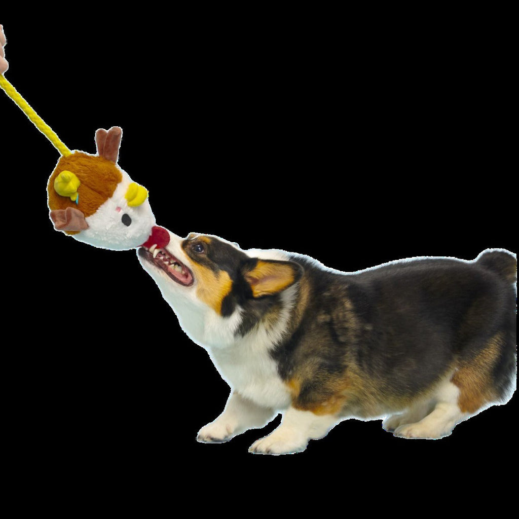 Cock-A-Doodle Dude Plush Tug + Fetch Dog Toy