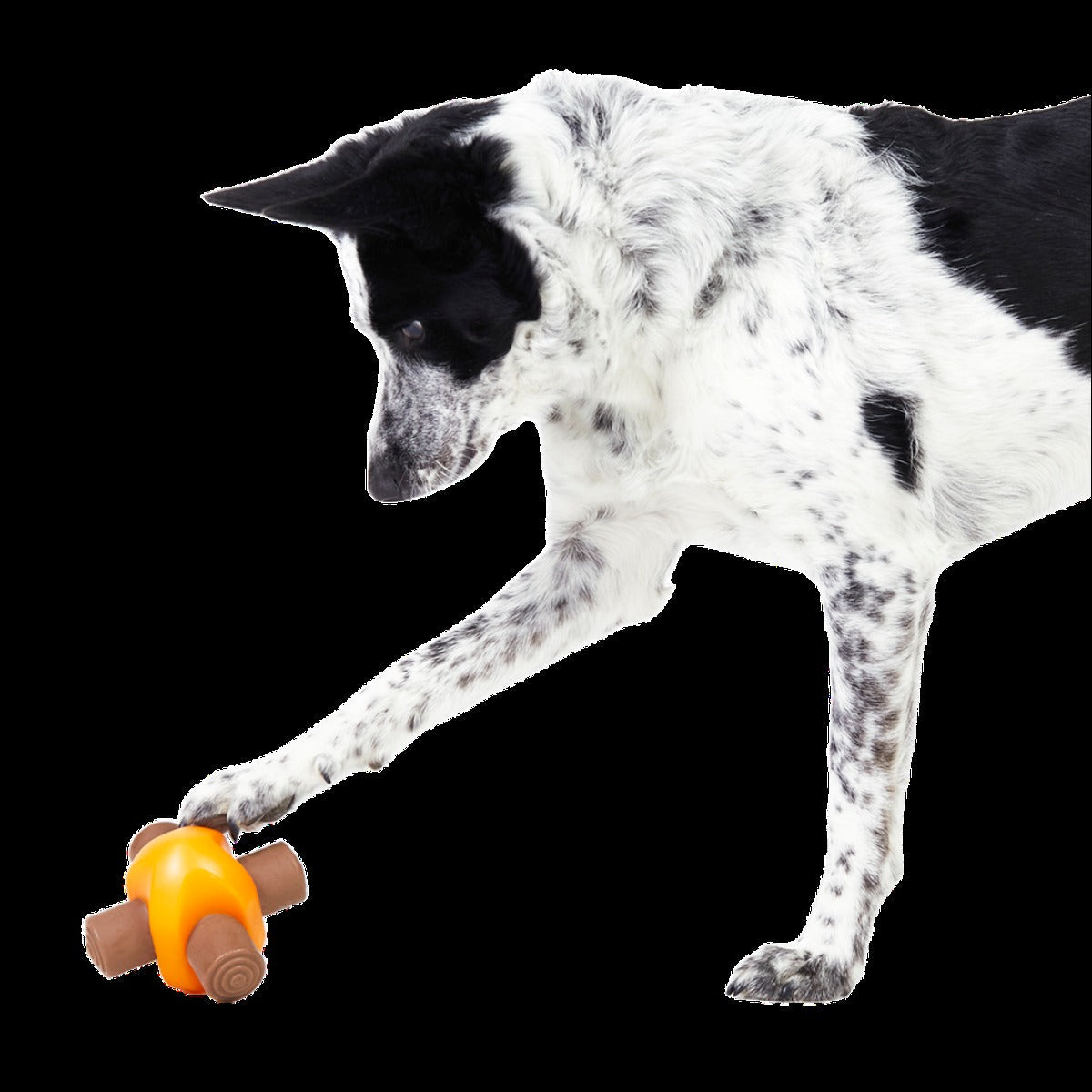 Blanket + Chompfire Bundle Super Chewer Durable Gnaw + Enrichment Dog Toy