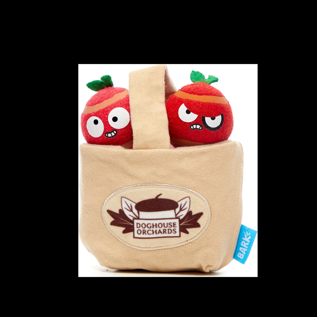 The Munch Bunch Plush Enrichment + Multi-Part + Fetch Dog Toy