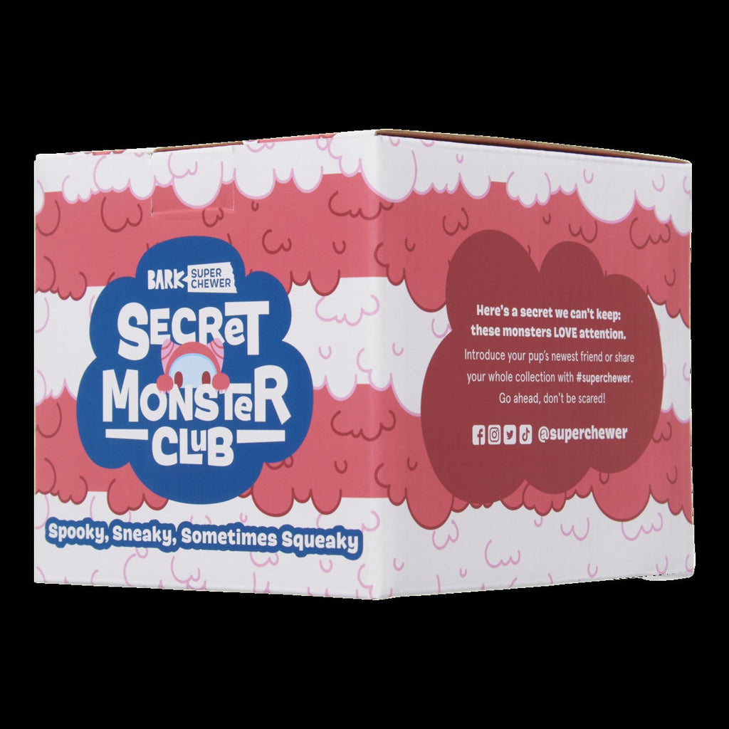 Secret Monster Club, Super Chewer Durable 2-in-1 Rip and Reveal Monthly Dog Toys