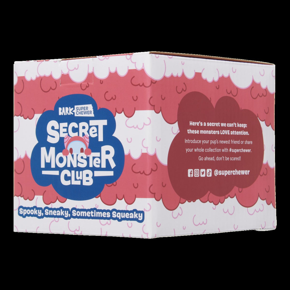 Secret Monster Club, Super Chewer Durable 2-in-1 Rip and Reveal Monthly Dog Toys