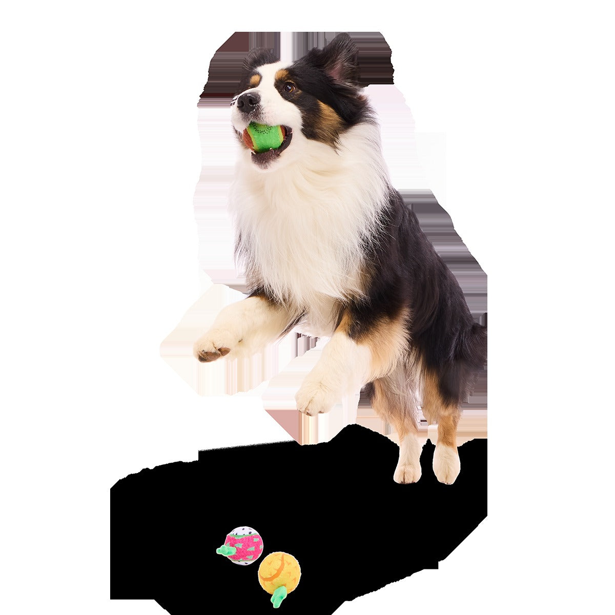 Tennis Ball Club, 3 Squeaky Monthly Tennis Ball Dog Toys