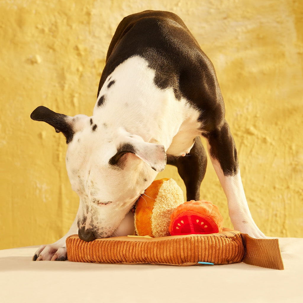 Antipawsto Board Plush Multi-Part + Enrichment Dog Toy