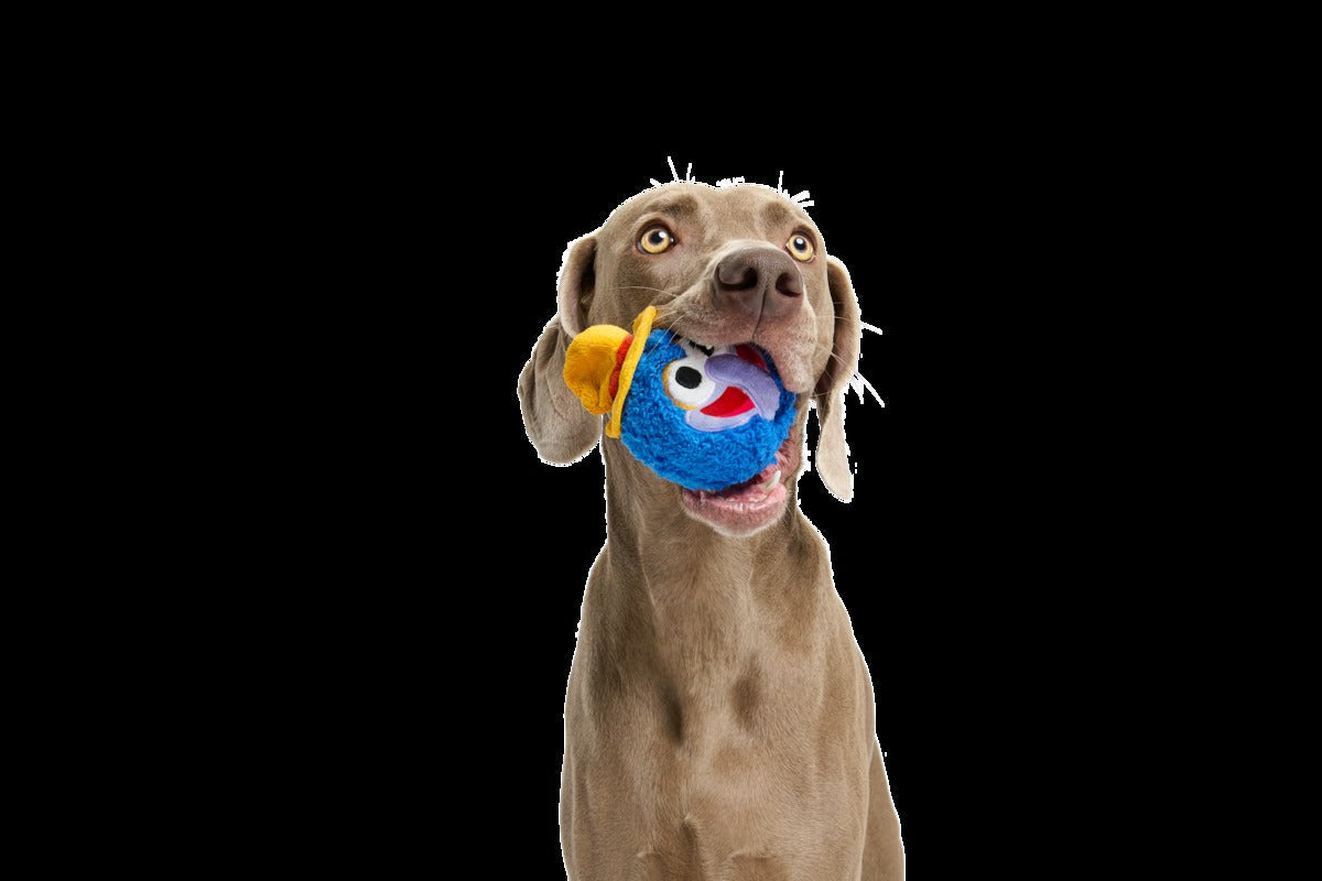 The Great Gonzo as "Charles Lick-ens" Durable Super Chewer Multi-Part Dog Toy
