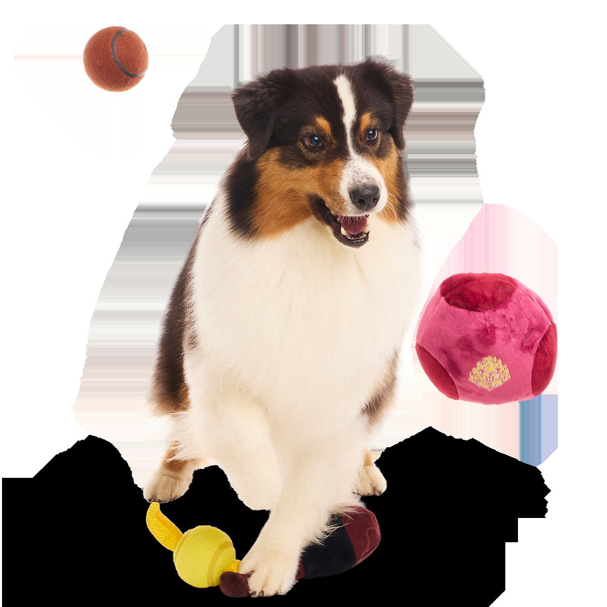 QuidditchTM Equipment Pack Plush Multi-Part + Tennis Ball Fetch Dog Toy