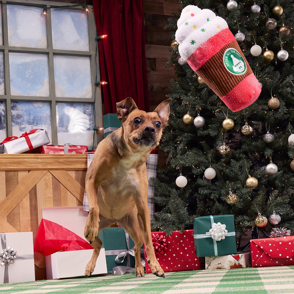 Jumbo Jingle Latte Plush Extra-Large Dog Toy