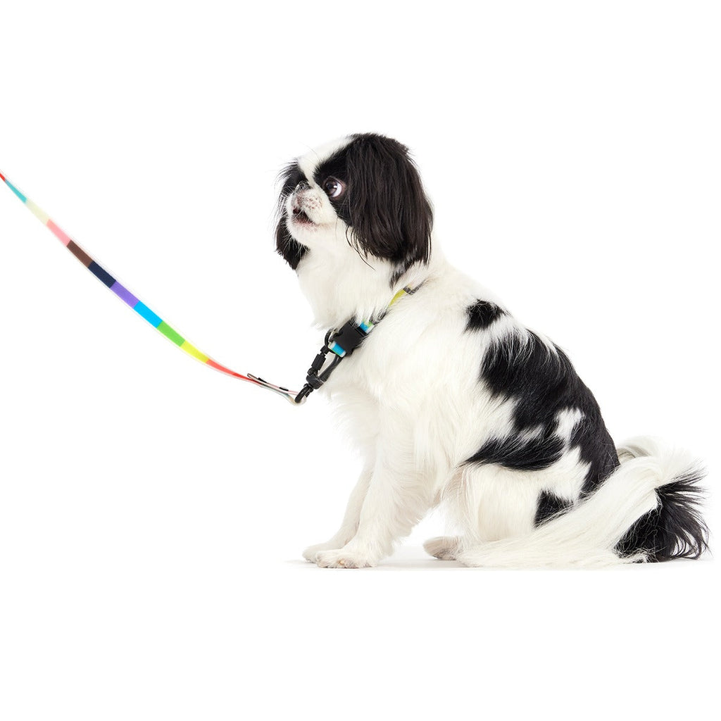 Pride Walking Gear Bundle