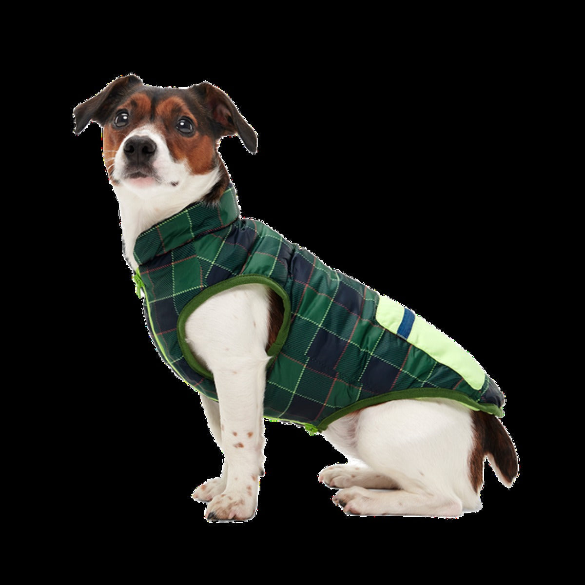 Plaid To The Bone Dog Puffer Vest